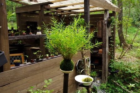 2014-9-16-3s.jpg