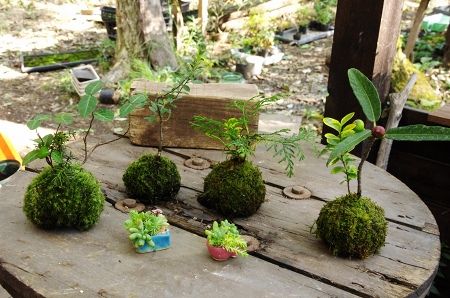 2013-10-15-7s.jpg