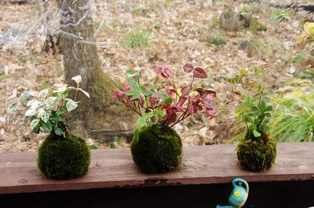 2013-11-15-2s.jpg
