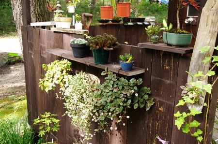 2014-9-21-3s.jpg