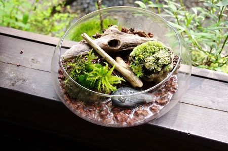 2014-7-26-4s.jpg