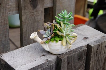 2013-9-6-4s.jpg