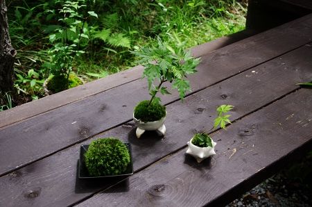 2013-6-15-3s.jpg