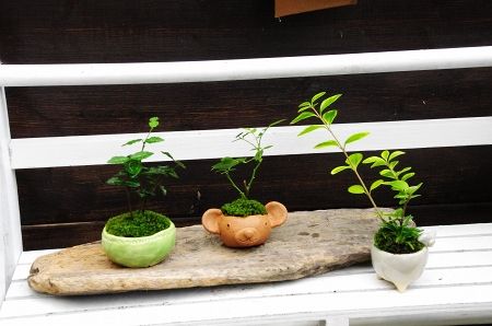 2013-9-9-4s.jpg