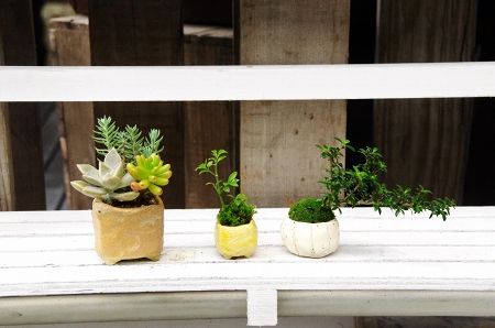 2014-7-19-3s.jpg