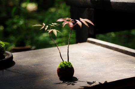 2013-8-12-4s.jpg