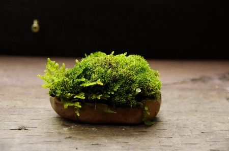 2013-8-25-1s.jpg