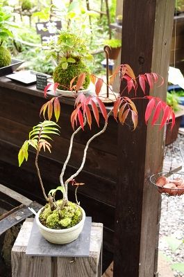 2014-9-27-3s.jpg