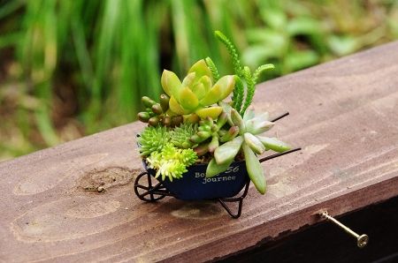 2013-9-24-4s.jpg