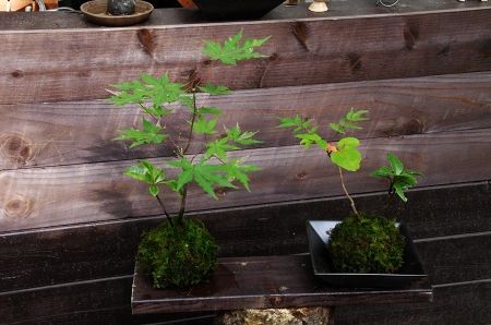2013-9-28-4s.jpg