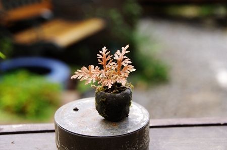 2014-9-27-5s.jpg