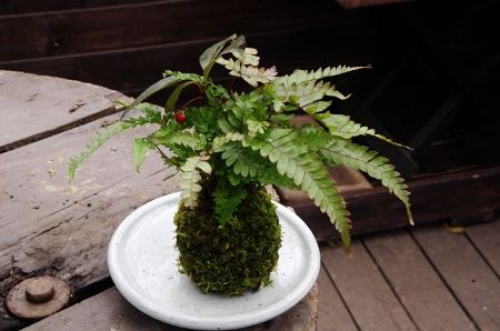 2013-11-15-4s.jpg