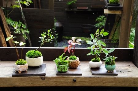 2013-8-10-4s.jpg