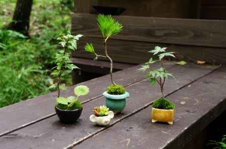 2013-7-19-2ss.jpg
