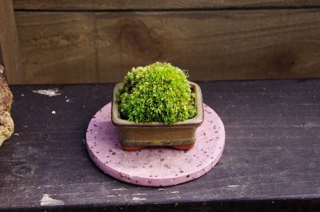 2014-9-29-4s.jpg