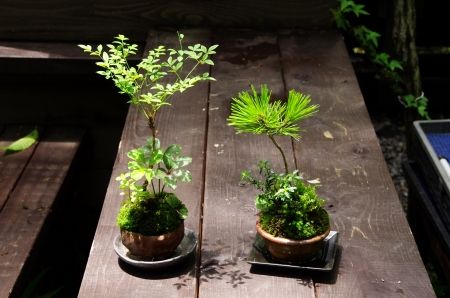 2013-6-25-3s.jpg