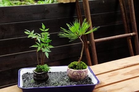 2013-7-27-4s.jpg