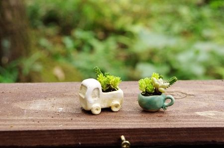 2013-8-30-1s.jpg