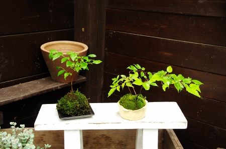 2013-8-23-2s.jpg
