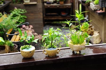 2014-7-19-2s.jpg
