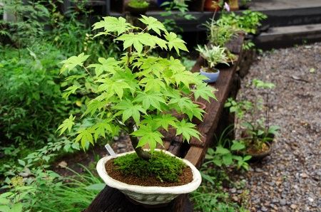 2013-9-14-5s.jpg