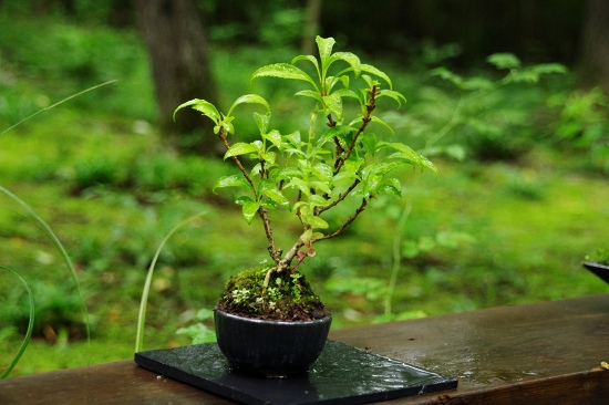 a8c1f4b7.jpg