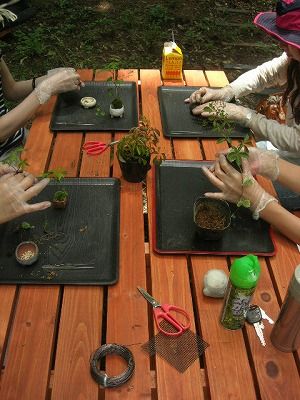 2011-7-10-3s.jpg