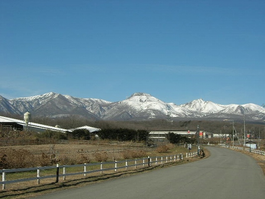 b0729e50.jpg
