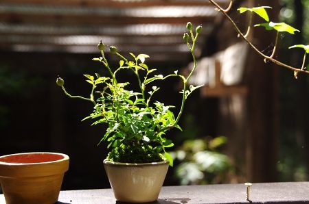 2013-9-24-2s.jpg