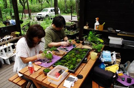 2013-6-16-3s.jpg