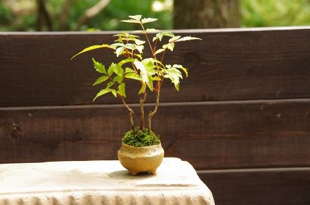 2013-8-13-3s.jpg