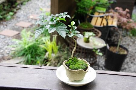 2014-7-14-8s.jpg