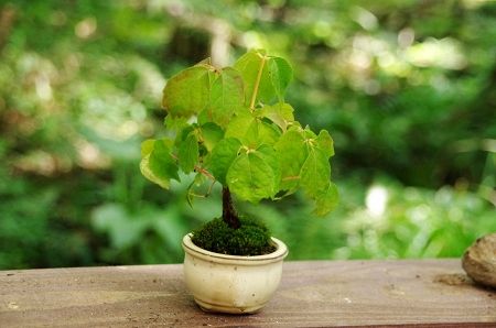 2013-9-24-3s.jpg