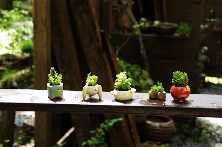 2013-9-6-5s.jpg