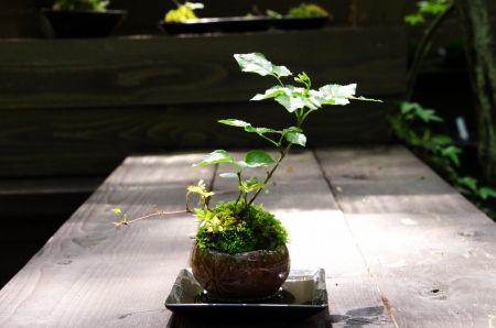 2013-6-25-5s.jpg