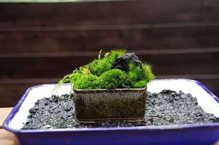 2013-7-27-6s.jpg