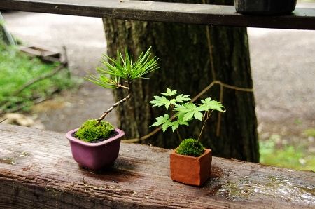 2013-6-16-4s.jpg