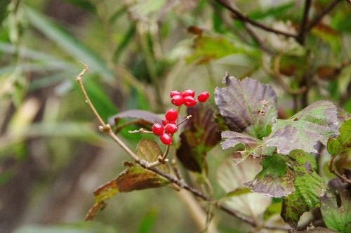 d8816926.jpg