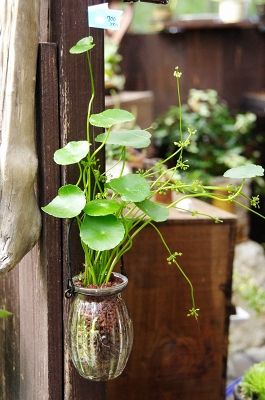 2014-9-12-3s.jpg