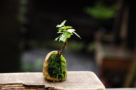 2013-9-2-5s.jpg