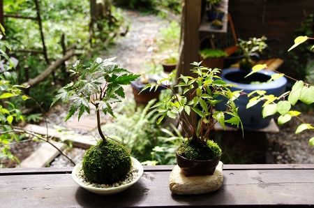 2014-9-15-3s.jpg