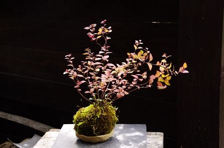 2014-9-29-1s.jpg