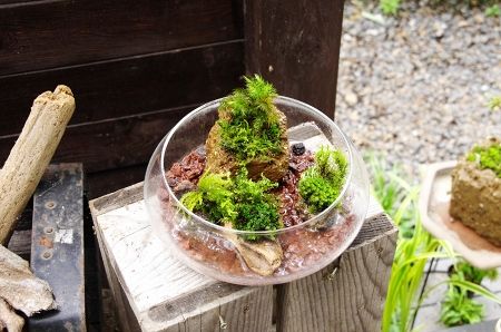2014-7-26-2s.jpg