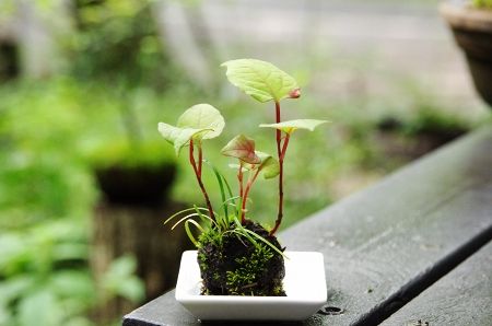 2013-9-2-4s.jpg