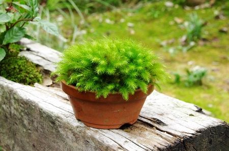 2013-9-24-1s.jpg