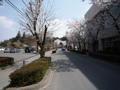 P1050425