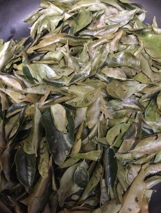 curry leaves