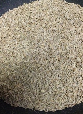 kuminn seeds