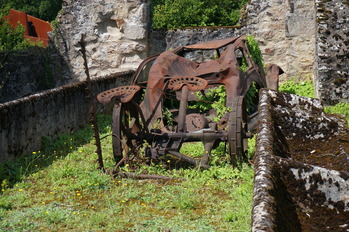 DSC00810
