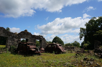 DSC00831